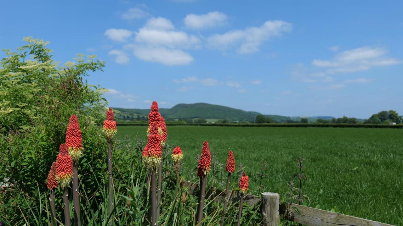Country Cottage With Far Reaching Views Presteigne エクステリア 写真